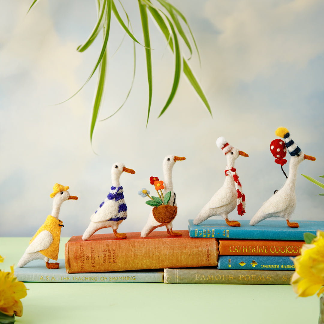 NEW Compete Duck Collection