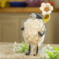 Barbara Sheep with Flower