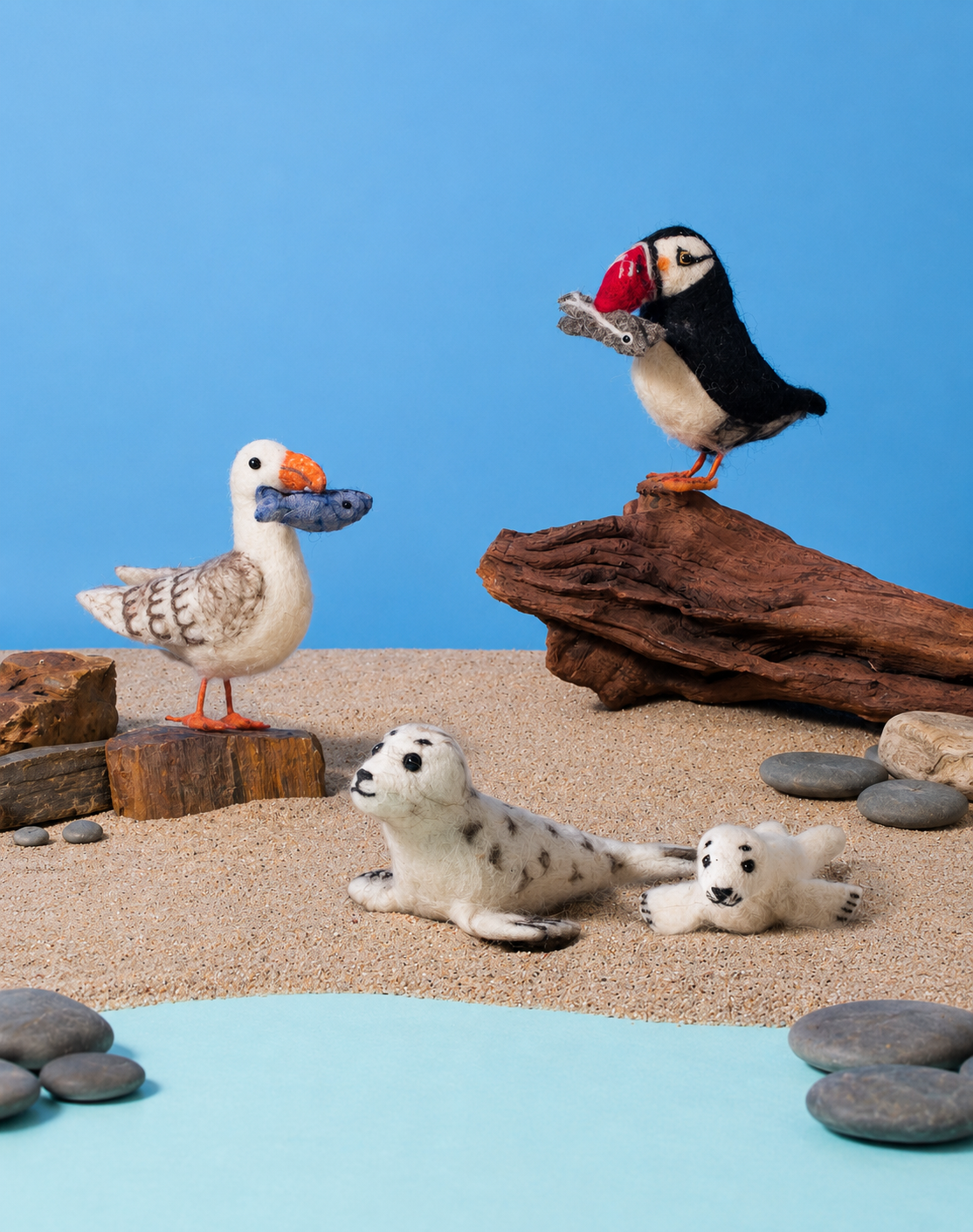  British Wildlife 