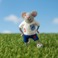 Toy mouse in england football kit on grass with a blue sky