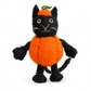 NEW Pumpkin the Cat