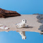NEW Sandy Seal