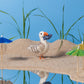 NEW Sarg Seagull
