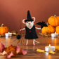 NEW Zelda the Witch Mouse