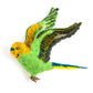 Flying Green Budgie Trio